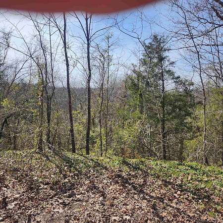 0.24 Acres of Residential Land for Sale in Cherokee Village, Arkansas