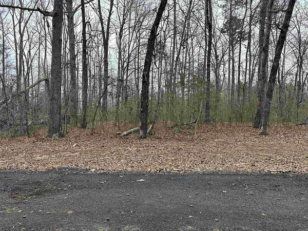 1.1 Acres of Land for Sale in Greers Ferry, Arkansas