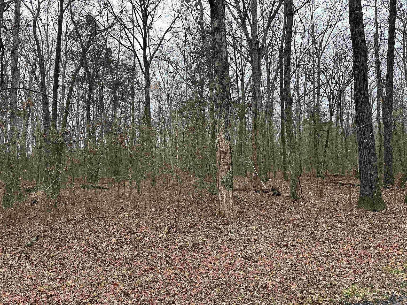 1 Acre of Land for Sale in Greers Ferry, Arkansas