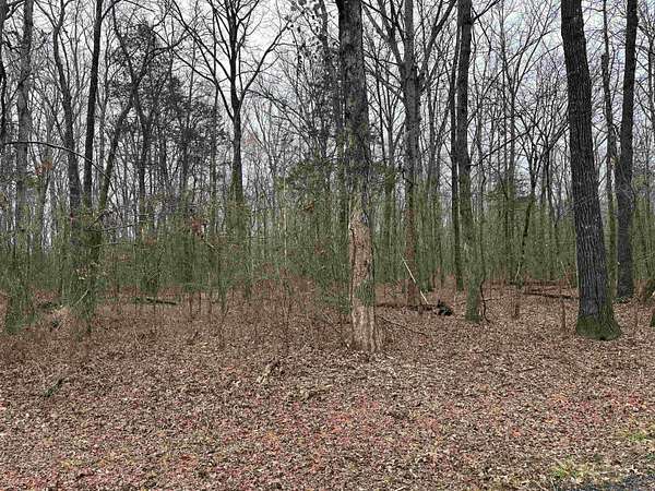 1 Acre of Land for Sale in Greers Ferry, Arkansas