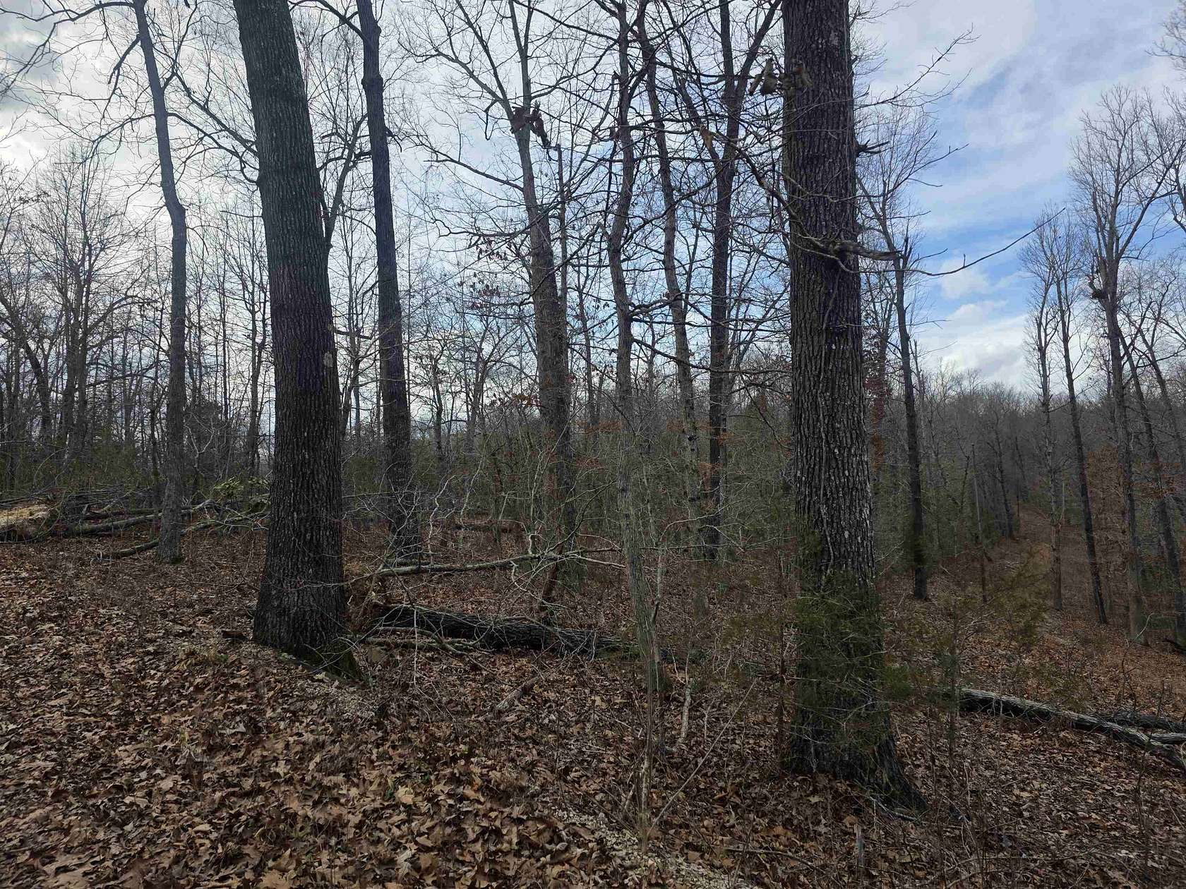 0.35 Acres of Land for Sale in Ozark Acres, Arkansas