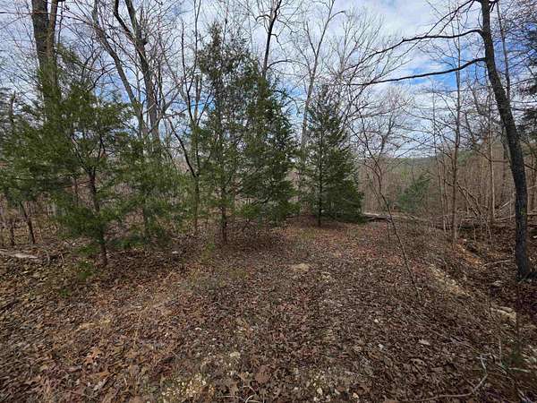 0.27 Acres of Residential Land for Sale in Hardy, Arkansas