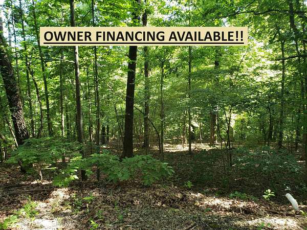 0.33 Acres of Residential Land for Sale in Cherokee Village, Arkansas