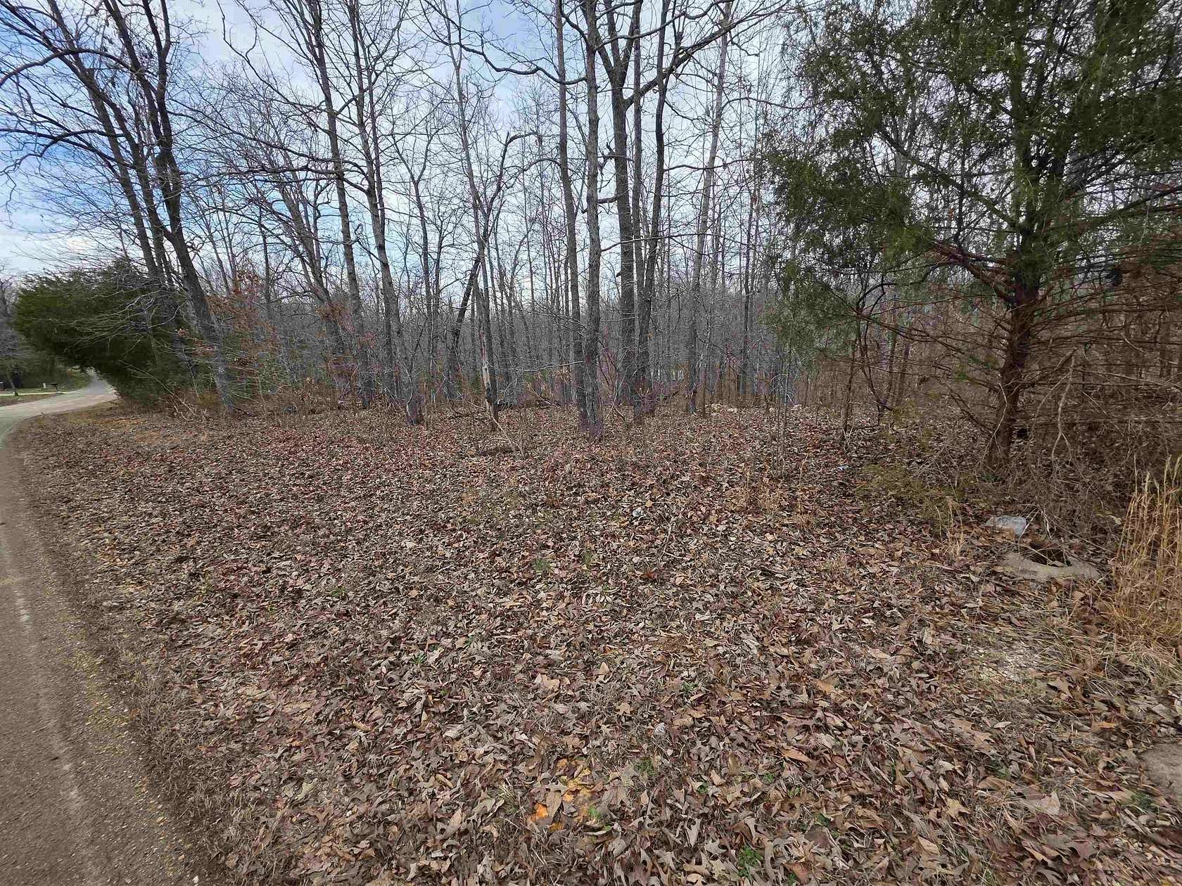 0.24 Acres of Land for Sale in Ozark Acres, Arkansas