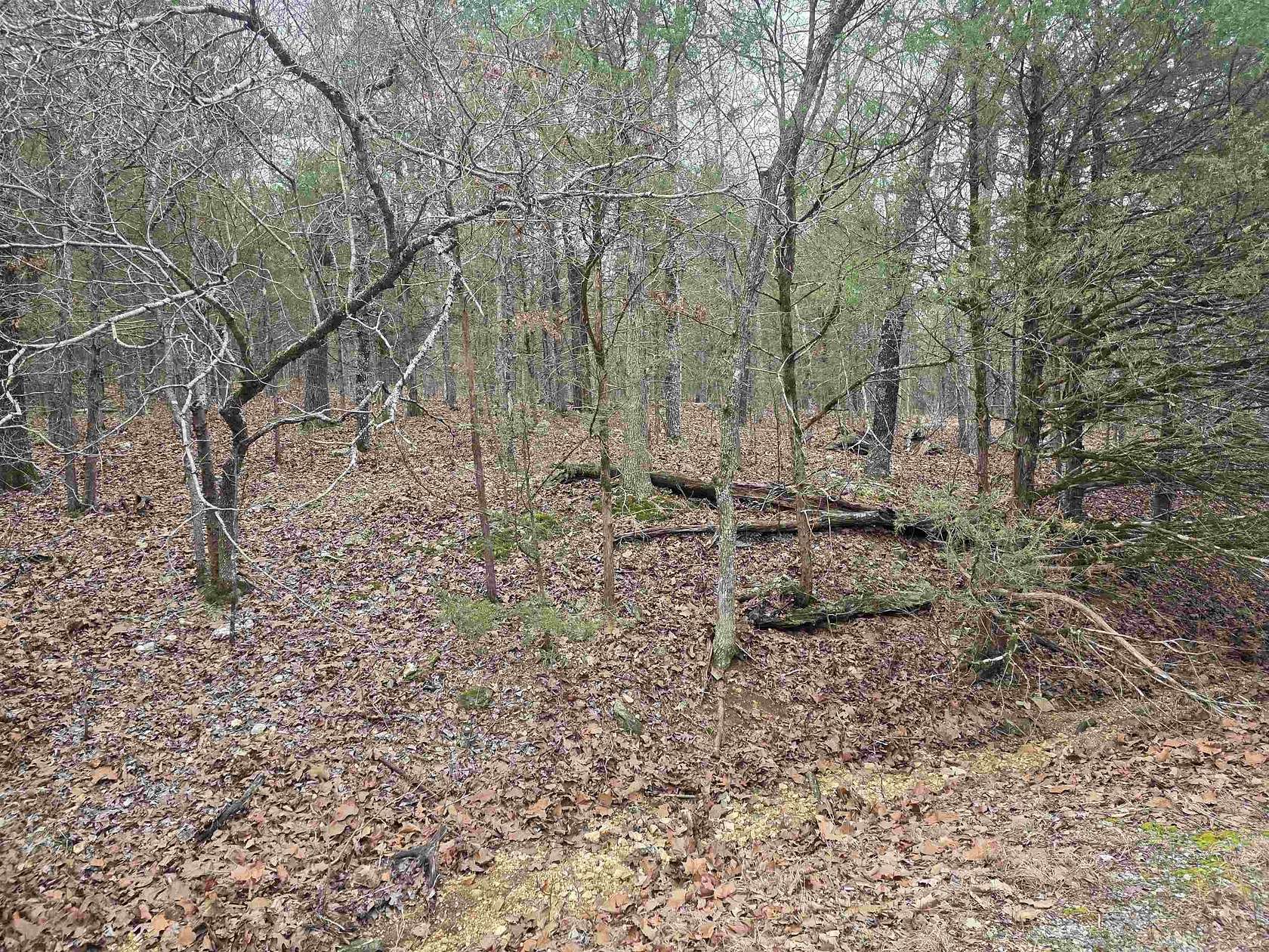 0.4 Acres of Residential Land for Sale in Cherokee Village, Arkansas