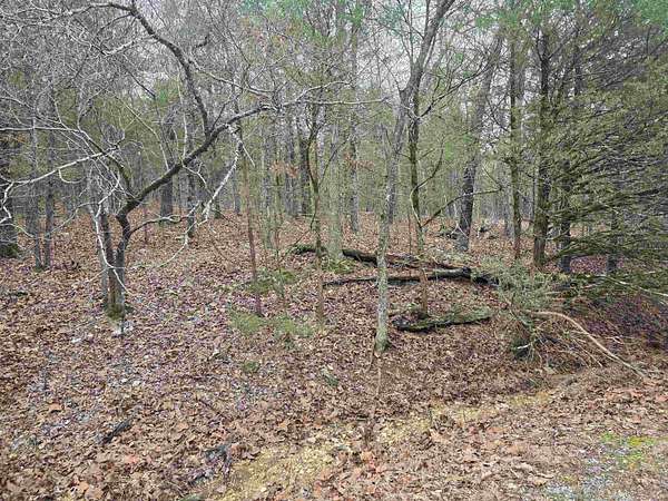 0.4 Acres of Residential Land for Sale in Cherokee Village, Arkansas