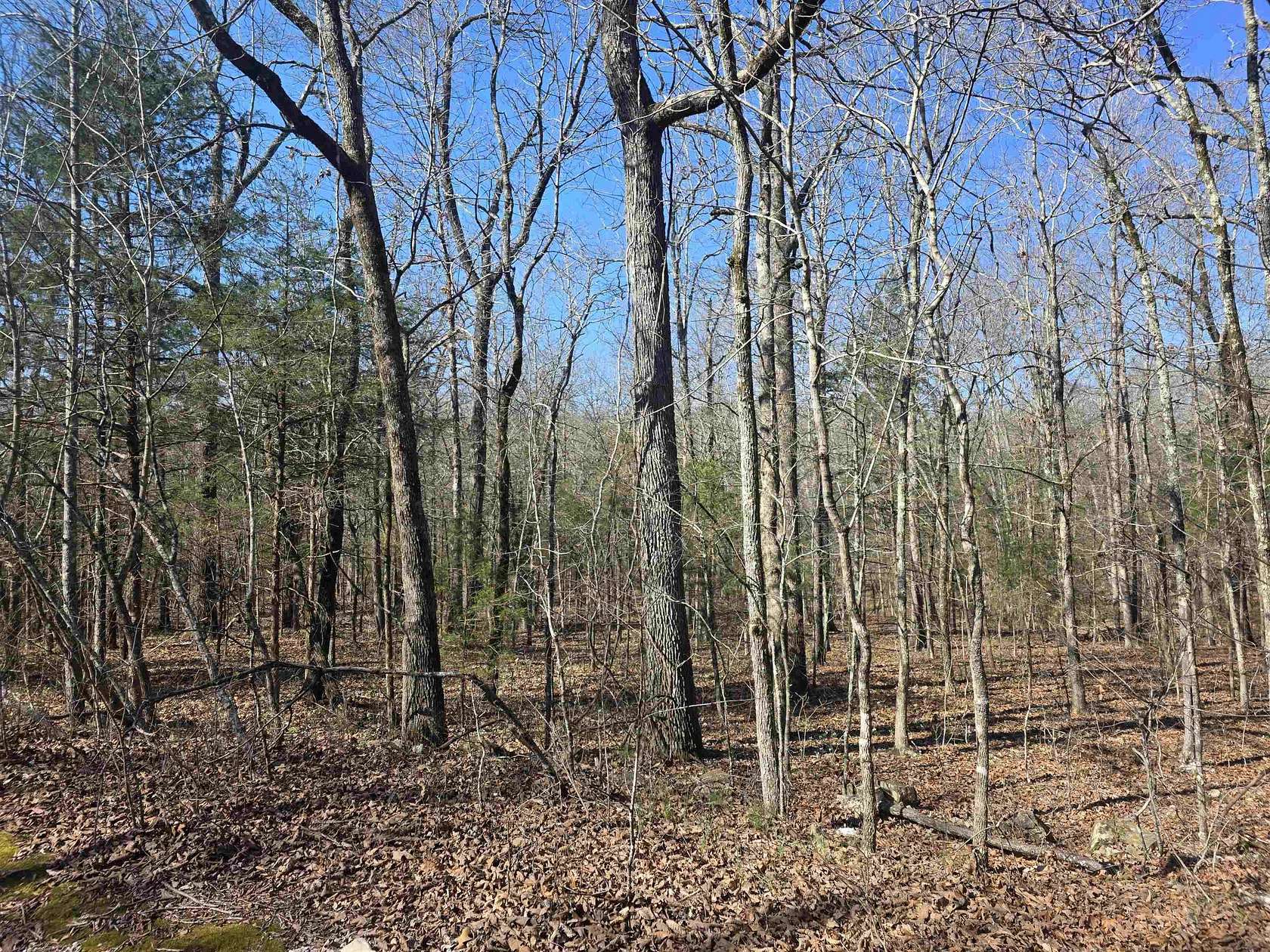0.3 Acres of Residential Land for Sale in Cherokee Village, Arkansas