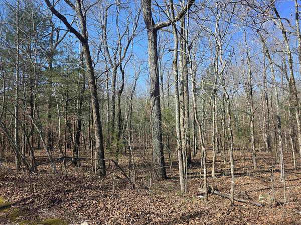 0.3 Acres of Residential Land for Sale in Cherokee Village, Arkansas