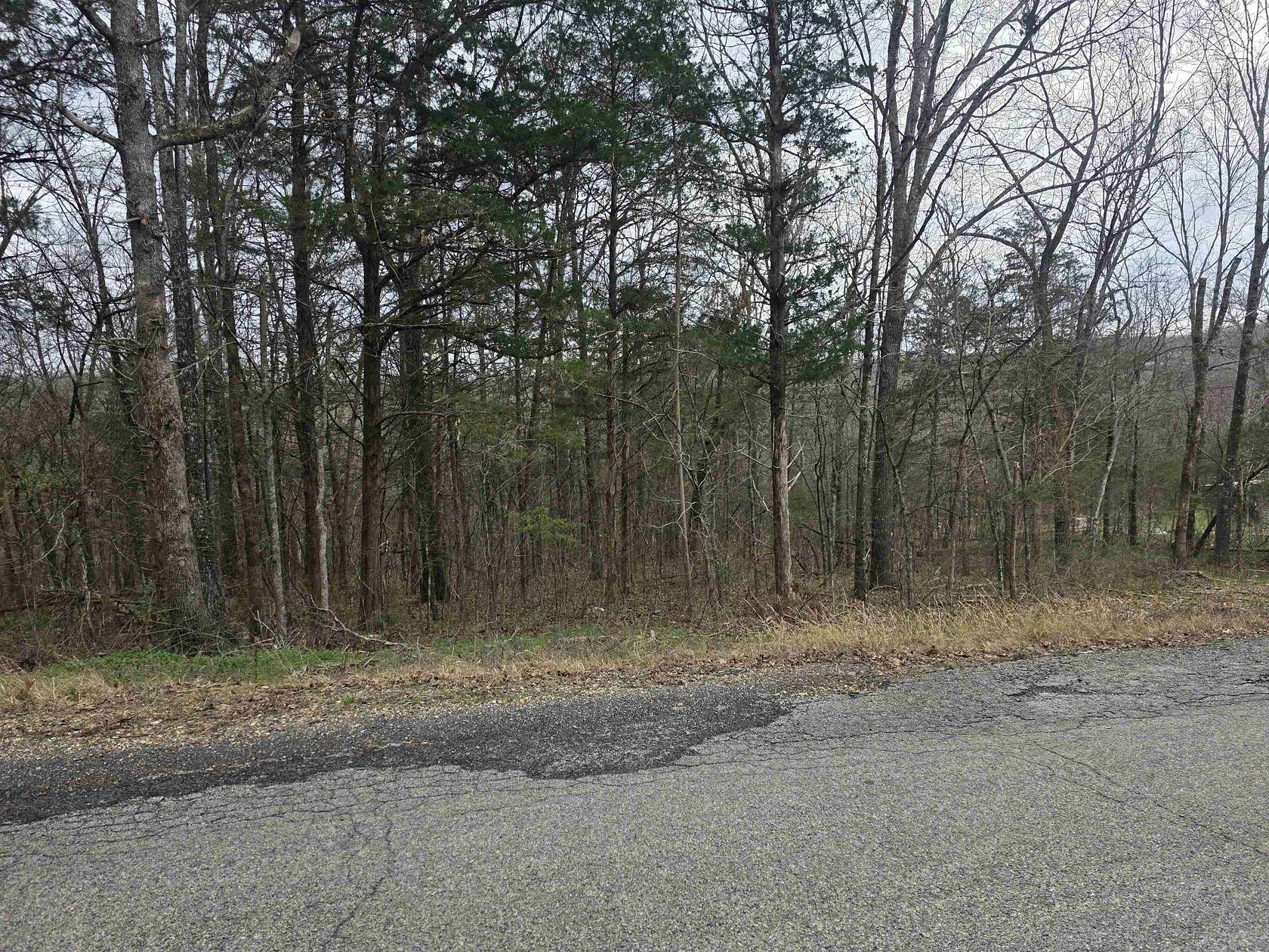 0.28 Acres of Residential Land for Sale in Cherokee Village, Arkansas