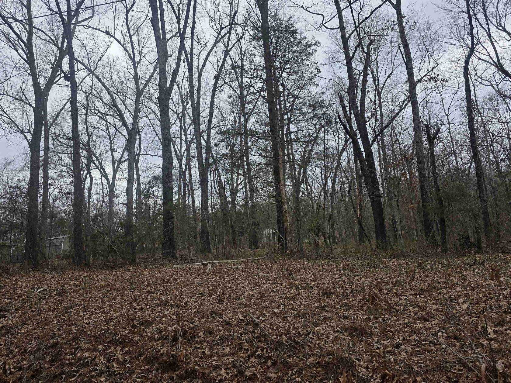 0.29 Acres of Residential Land for Sale in Cherokee Village, Arkansas