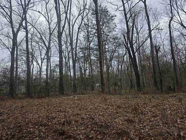 0.29 Acres of Residential Land for Sale in Cherokee Village, Arkansas