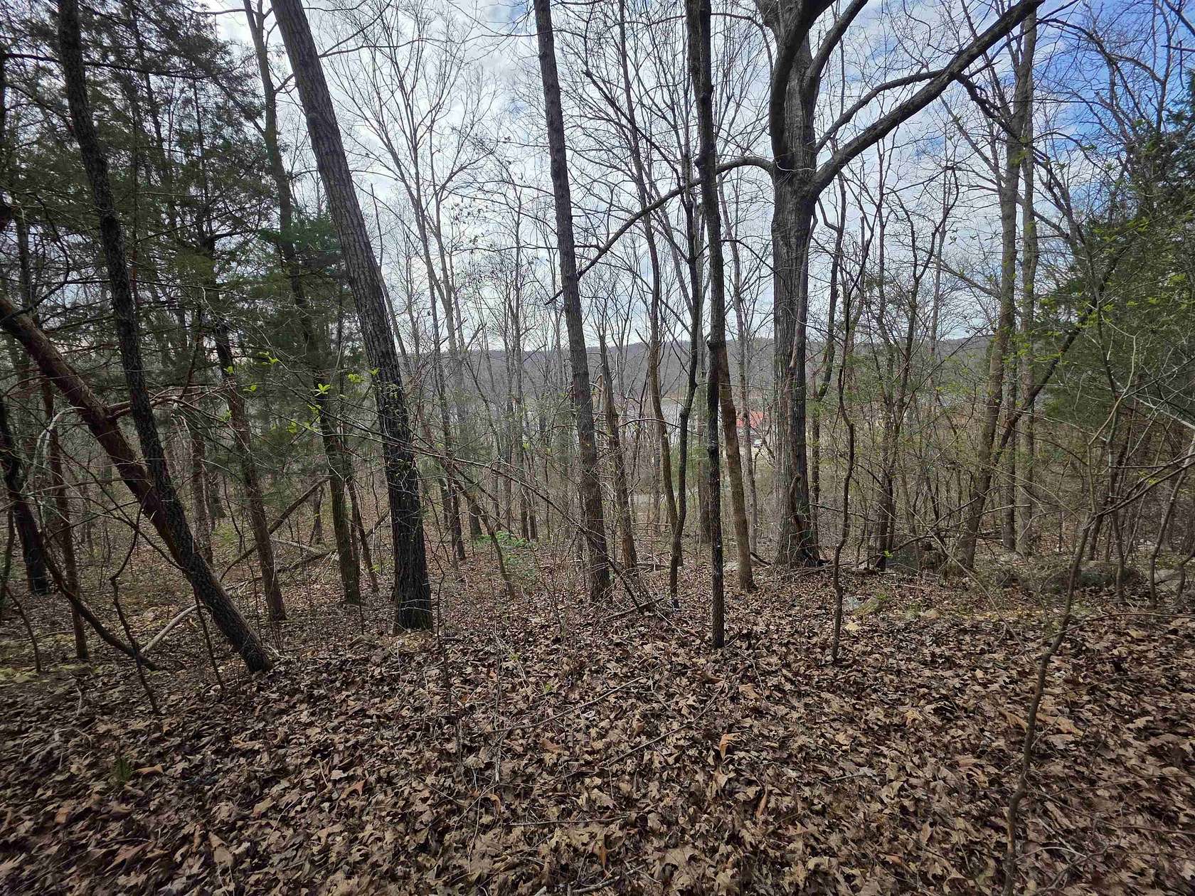 0.24 Acres of Residential Land for Sale in Hardy, Arkansas