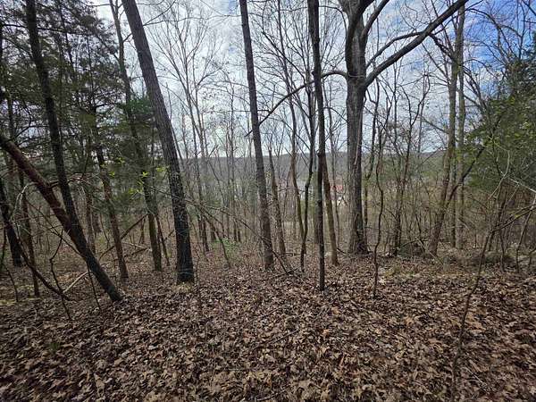 0.24 Acres of Residential Land for Sale in Hardy, Arkansas