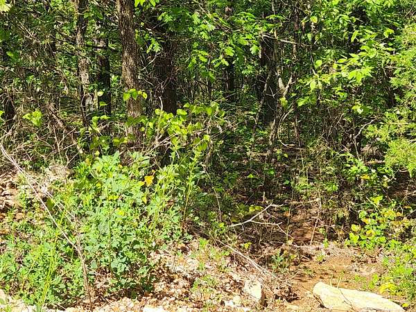 6.28 Acres of Land for Sale in Ash Flat, Arkansas
