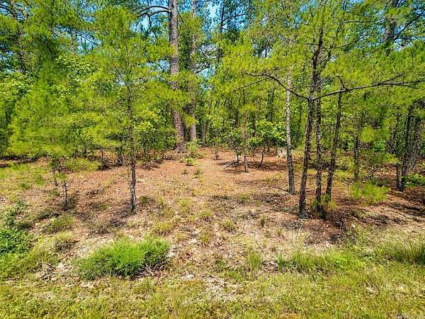 0.21 Acres of Residential Land for Sale in Hot Springs Village, Arkansas