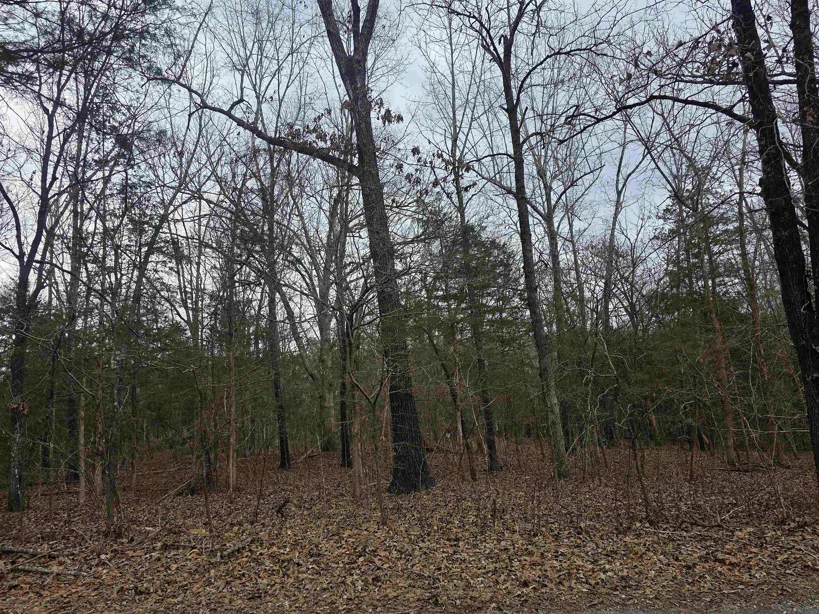 0.28 Acres of Residential Land for Sale in Cherokee Village, Arkansas