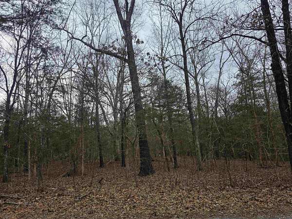 0.28 Acres of Residential Land for Sale in Cherokee Village, Arkansas