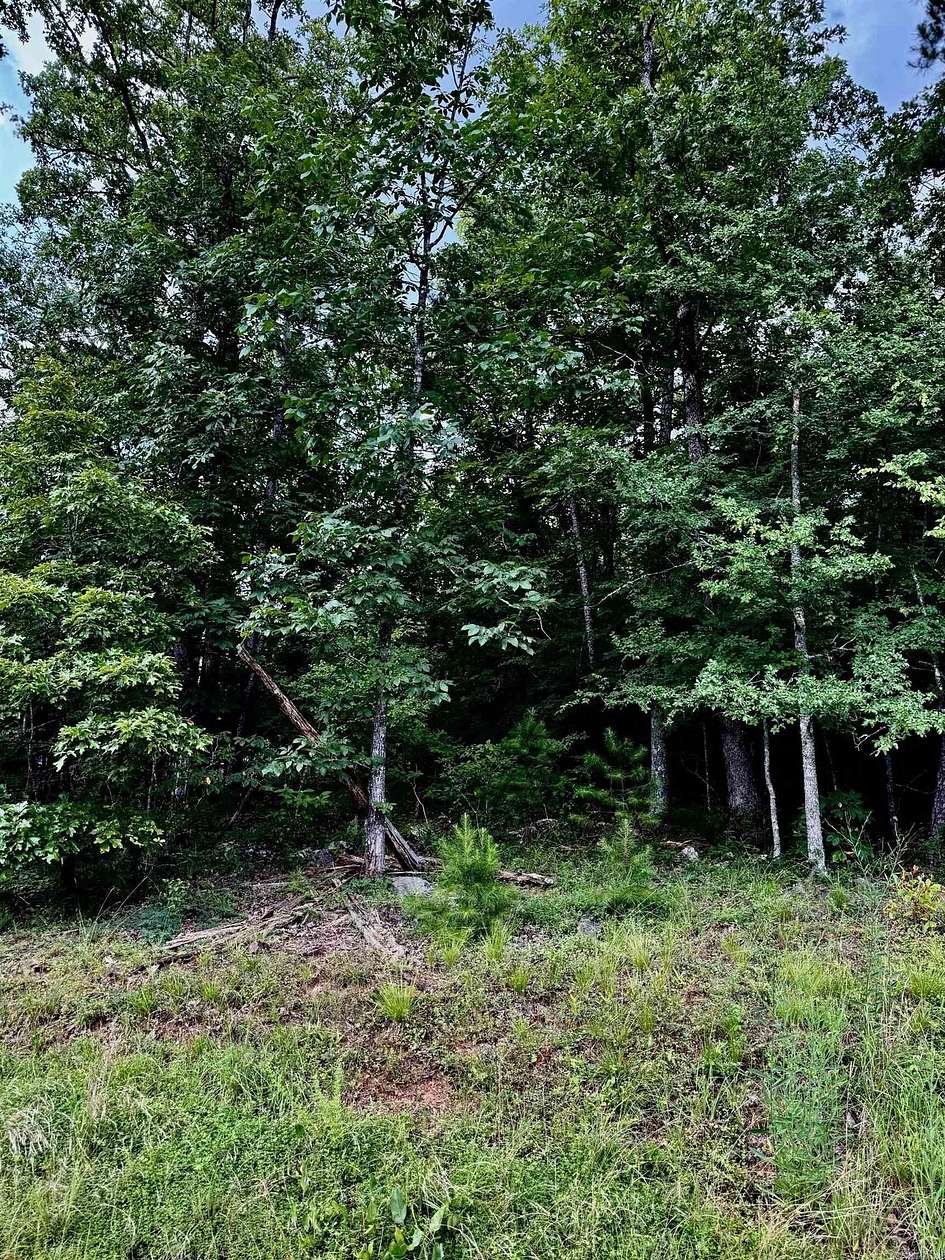 1 Acre of Residential Land for Sale in Heber Springs, Arkansas