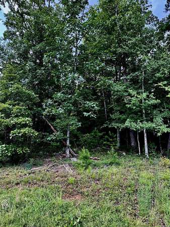 1 Acre of Residential Land for Sale in Heber Springs, Arkansas