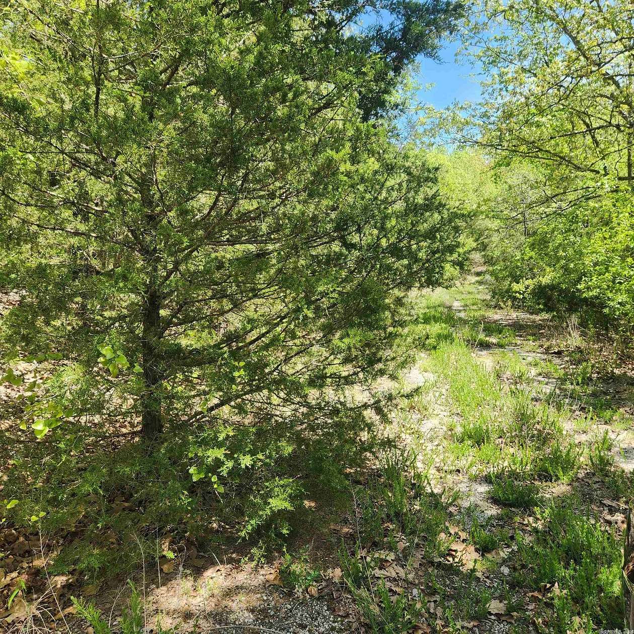 0.29 Acres of Residential Land for Sale in Cherokee Village, Arkansas