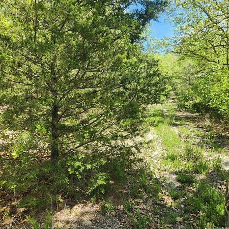 0.29 Acres of Residential Land for Sale in Cherokee Village, Arkansas
