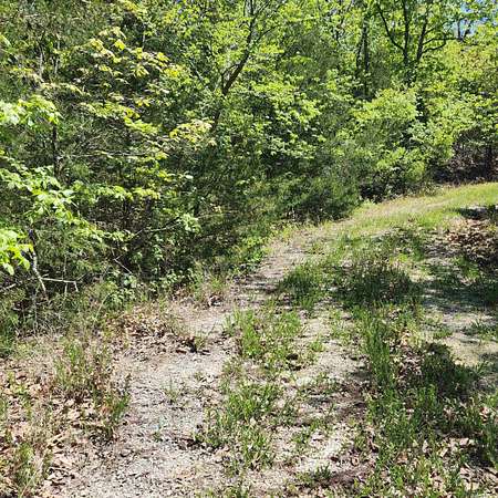0.26 Acres of Residential Land for Sale in Cherokee Village, Arkansas