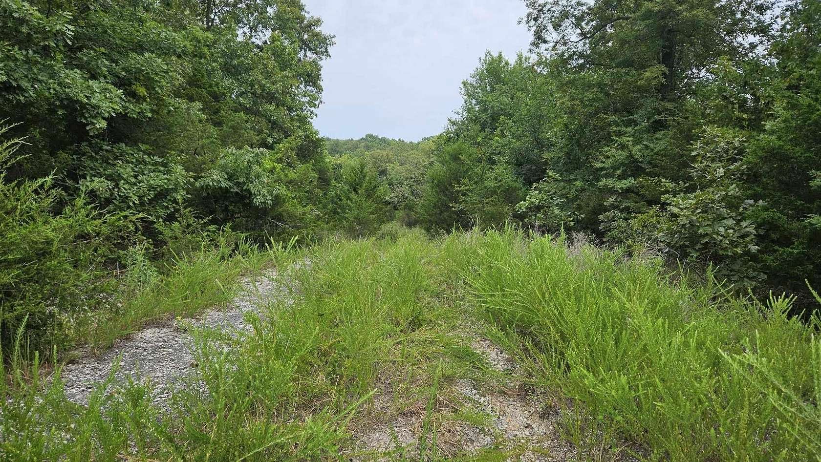 0.35 Acres of Residential Land for Sale in Horseshoe Bend, Arkansas