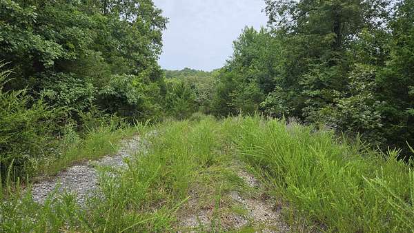 0.35 Acres of Residential Land for Sale in Horseshoe Bend, Arkansas