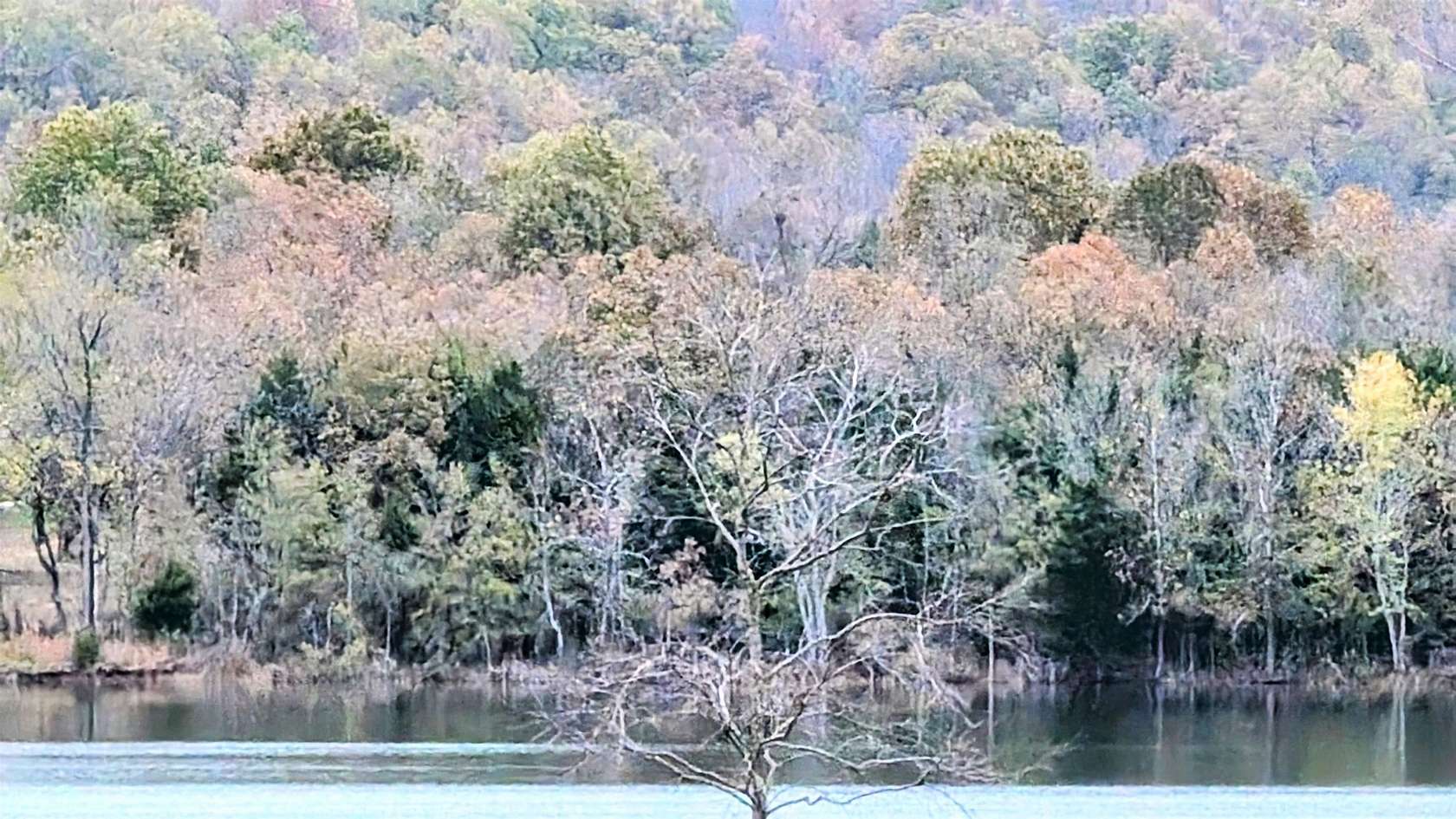 4.7 Acres of Residential Land for Sale in Horseshoe Bend, Arkansas