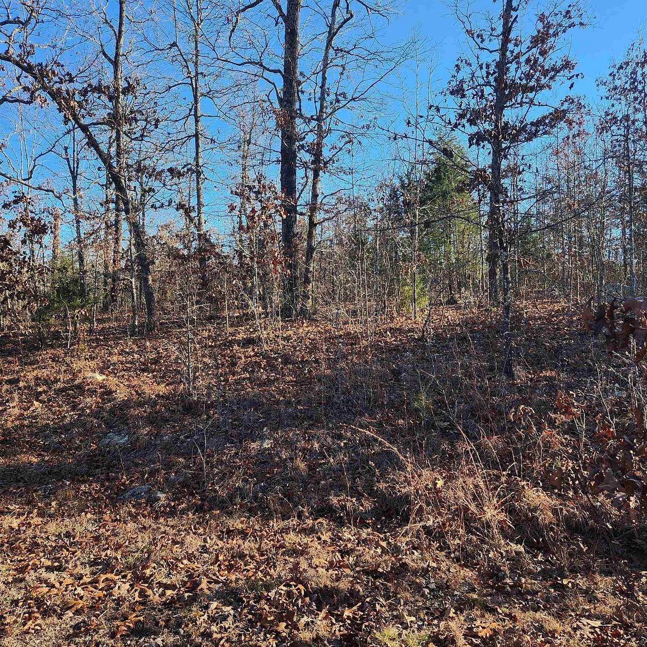 0.31 Acres of Residential Land for Sale in Horseshoe Bend, Arkansas