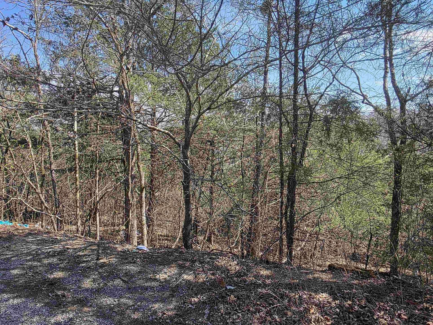 0.14 Acres of Residential Land for Sale in Cherokee Village, Arkansas