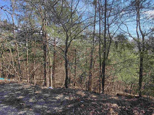 0.14 Acres of Residential Land for Sale in Cherokee Village, Arkansas
