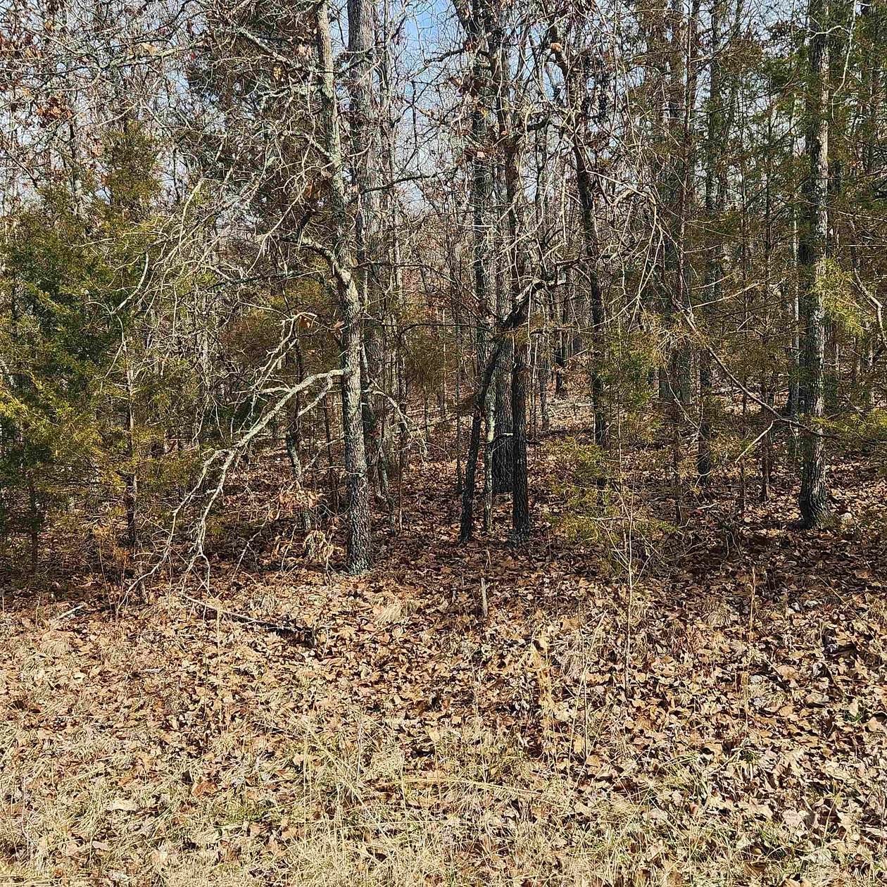 0.37 Acres of Residential Land for Sale in Cherokee Village, Arkansas