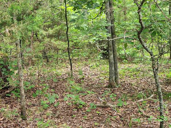 0.28 Acres of Residential Land for Sale in Cherokee Village, Arkansas
