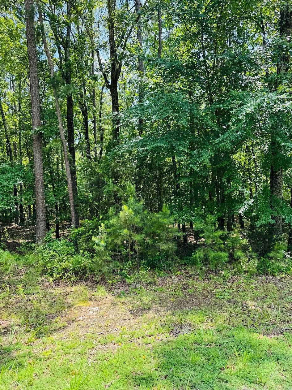 1 Acre of Residential Land for Sale in Heber Springs, Arkansas