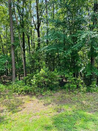 1 Acre of Residential Land for Sale in Heber Springs, Arkansas