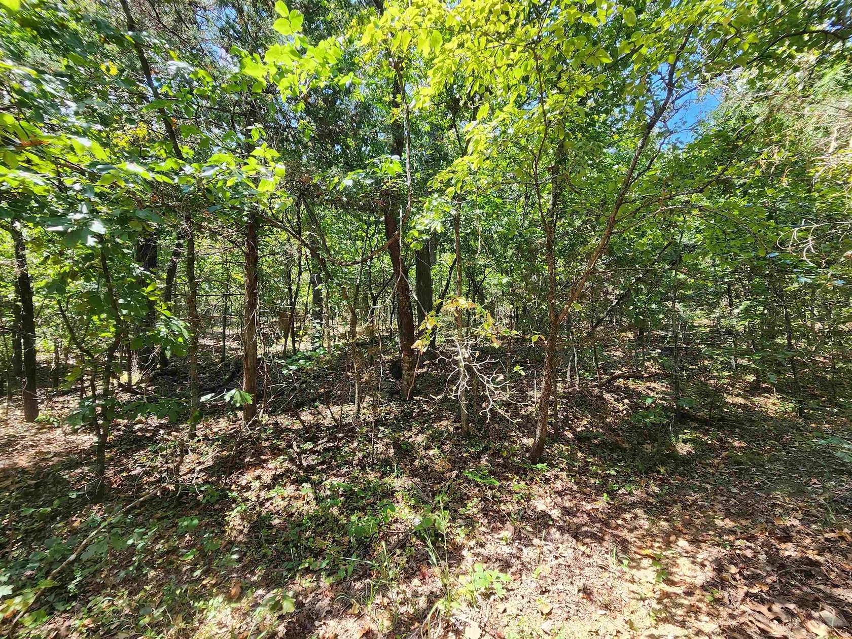 0.13 Acres of Residential Land for Sale in Highland, Arkansas