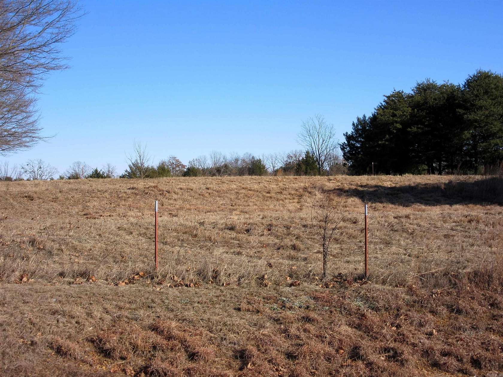 50 Acres of Mixed-Use Land for Sale in Guy, Arkansas
