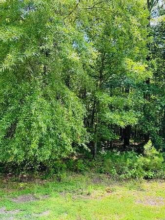 0.94 Acres of Residential Land for Sale in Heber Springs, Arkansas