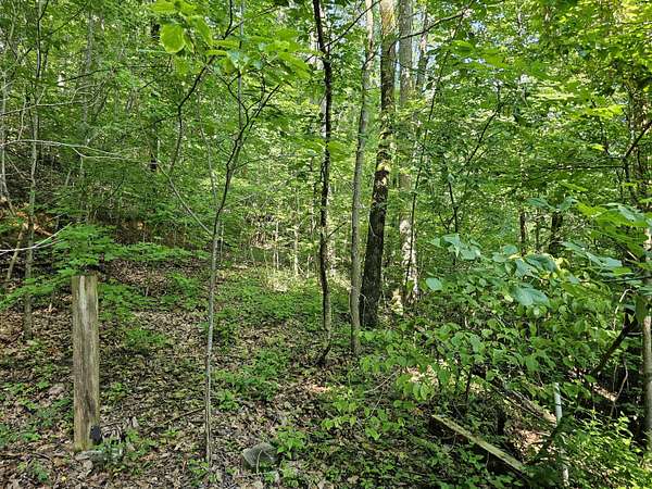 0.79 Acres of Residential Land for Sale in Sevierville, Tennessee