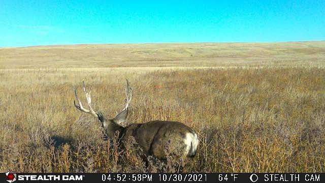 320 Acres of Land for Sale in Last Chance, Colorado