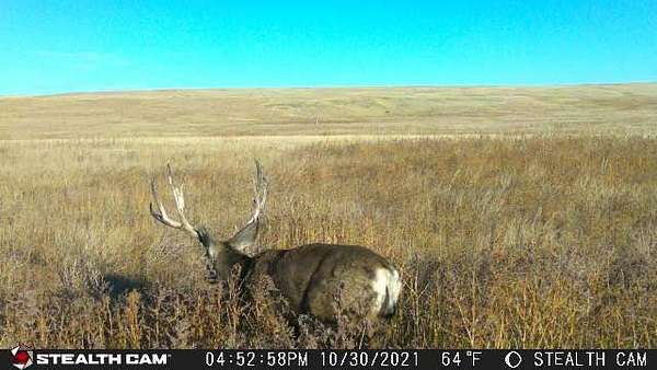 320 Acres of Land for Sale in Last Chance, Colorado