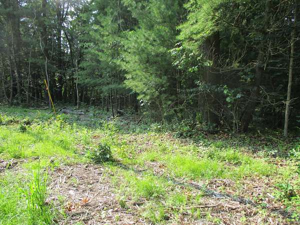 5 Acres of Residential Land for Sale in Pullman, Michigan