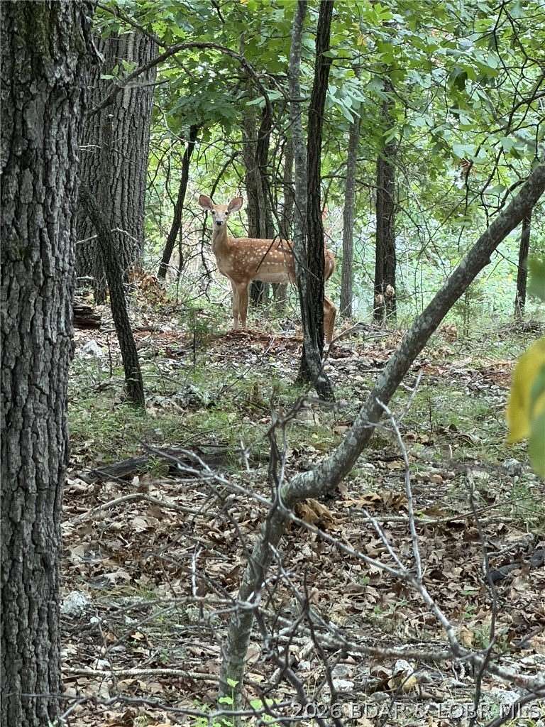 0.38 Acres of Residential Land for Sale in Lake Ozark, Missouri