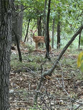 0.38 Acres of Residential Land for Sale in Lake Ozark, Missouri