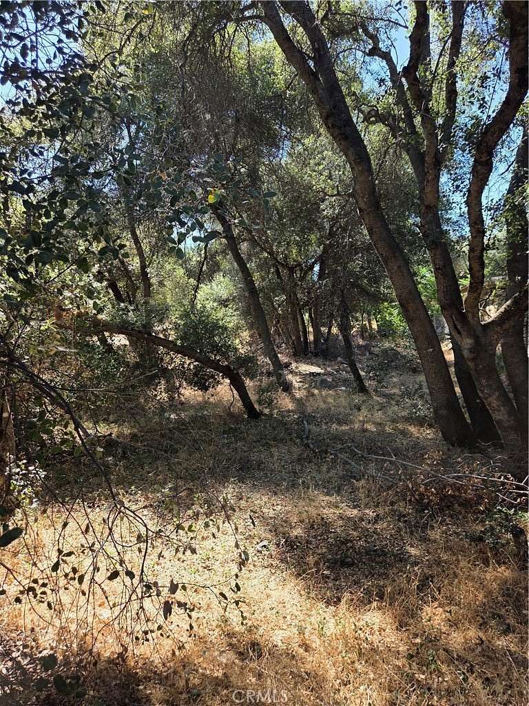 0.32 Acres of Residential Land for Sale in Clearlake, California