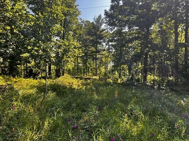 87.6 Acres of Recreational & Residential Land for Sale in Topinabee, Michigan