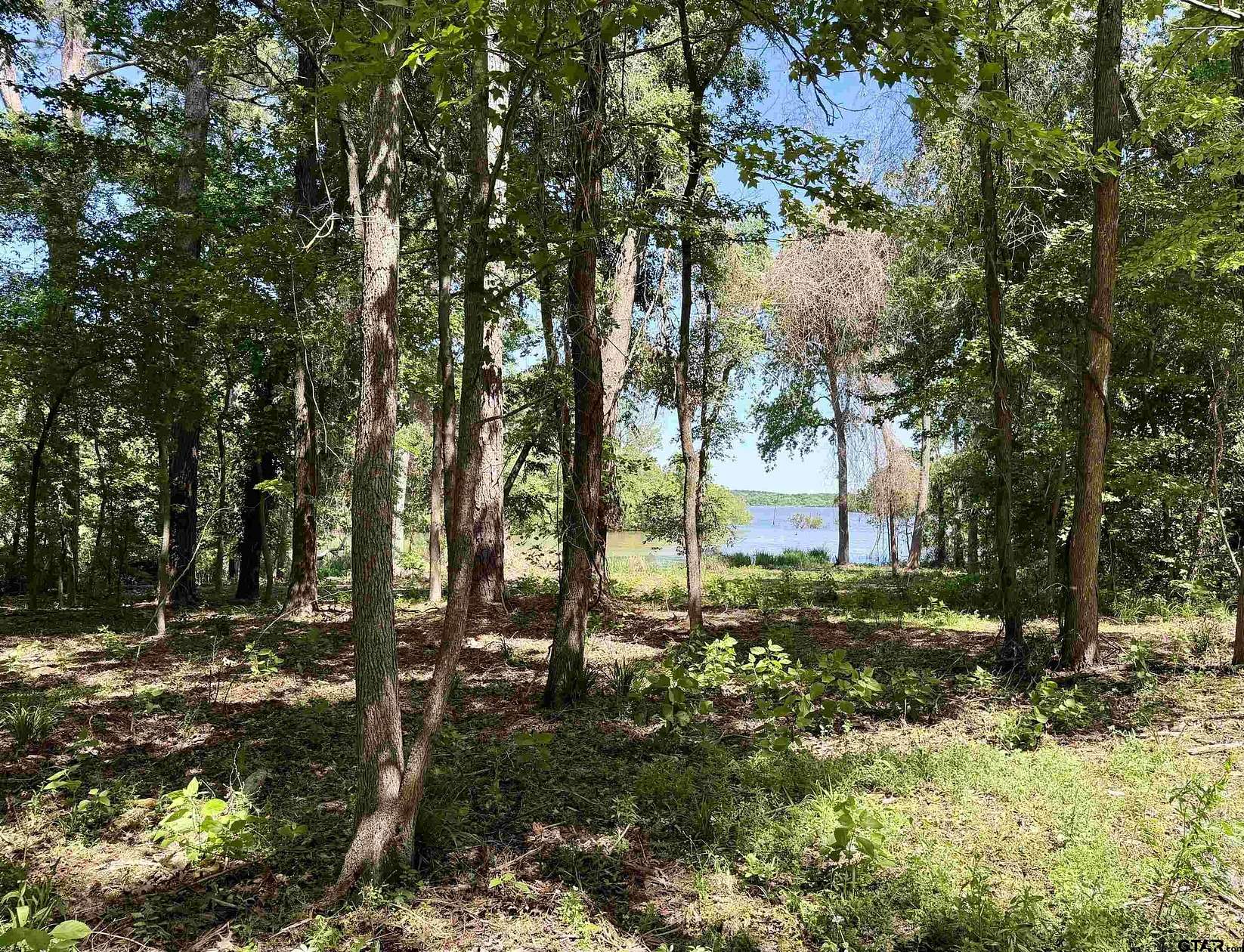 5 Acres of Residential Land for Sale in Chandler, Texas