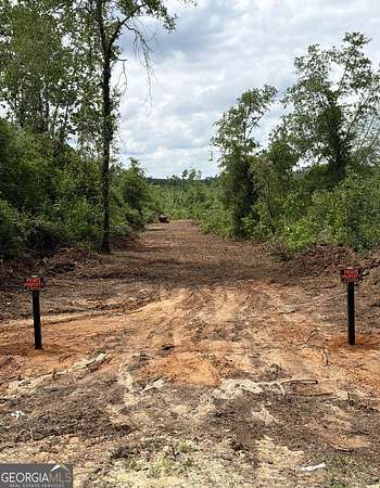 33.5 Acres of Land for Sale in Hephzibah, Georgia