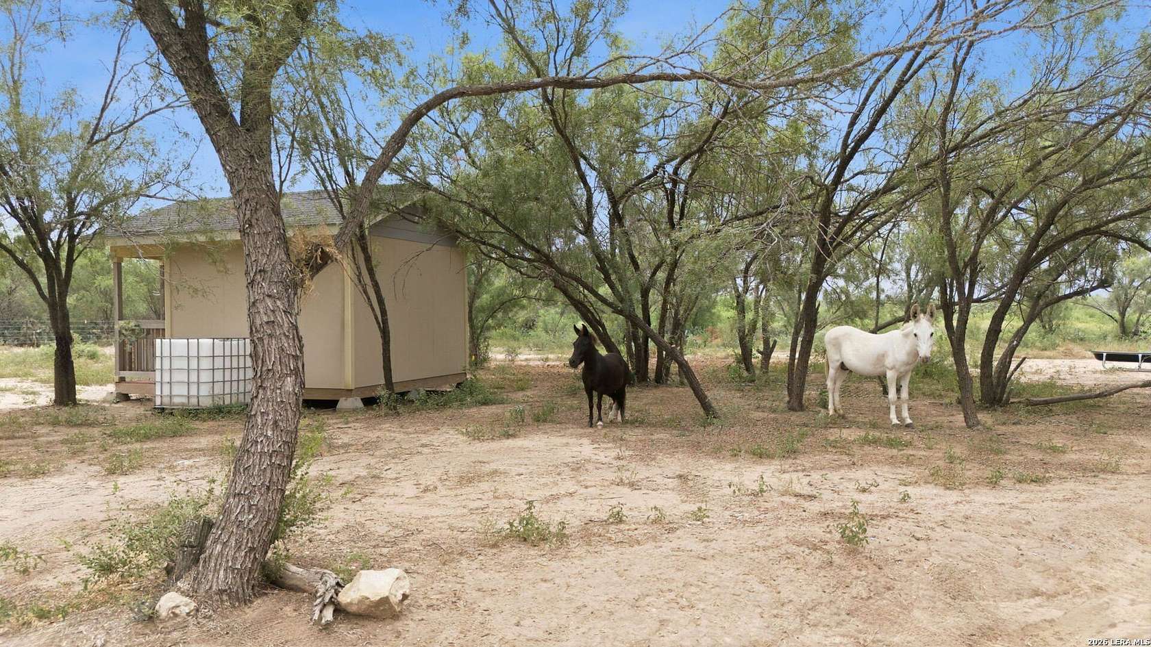 11 Acres of Land for Sale in Devine, Texas